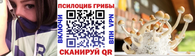 Галлюциногенные грибы ЛСД  KRAKEN ссылки  Яхрома 